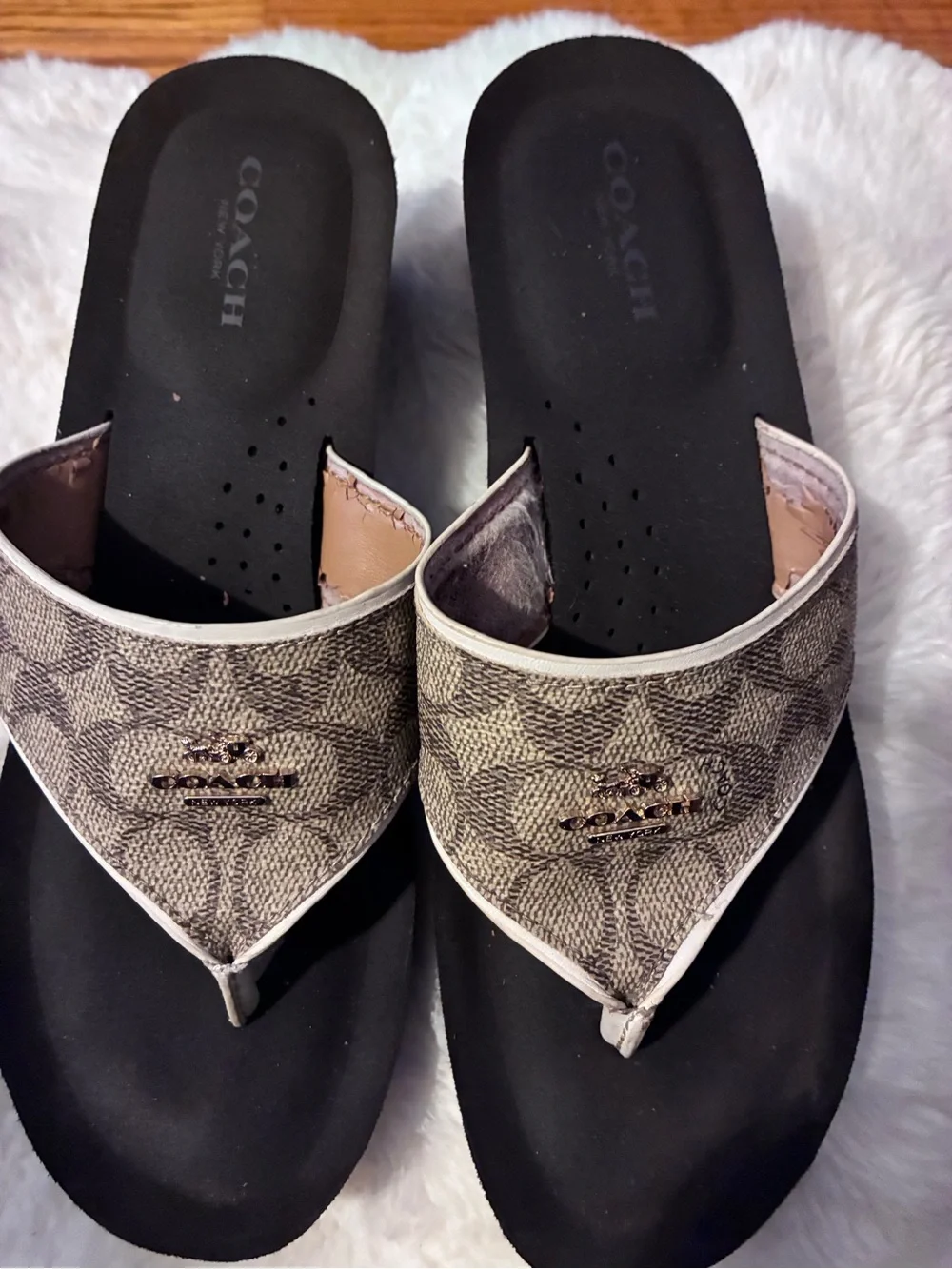 Coach Signature Canvas Thong Sandals in Brown and Black